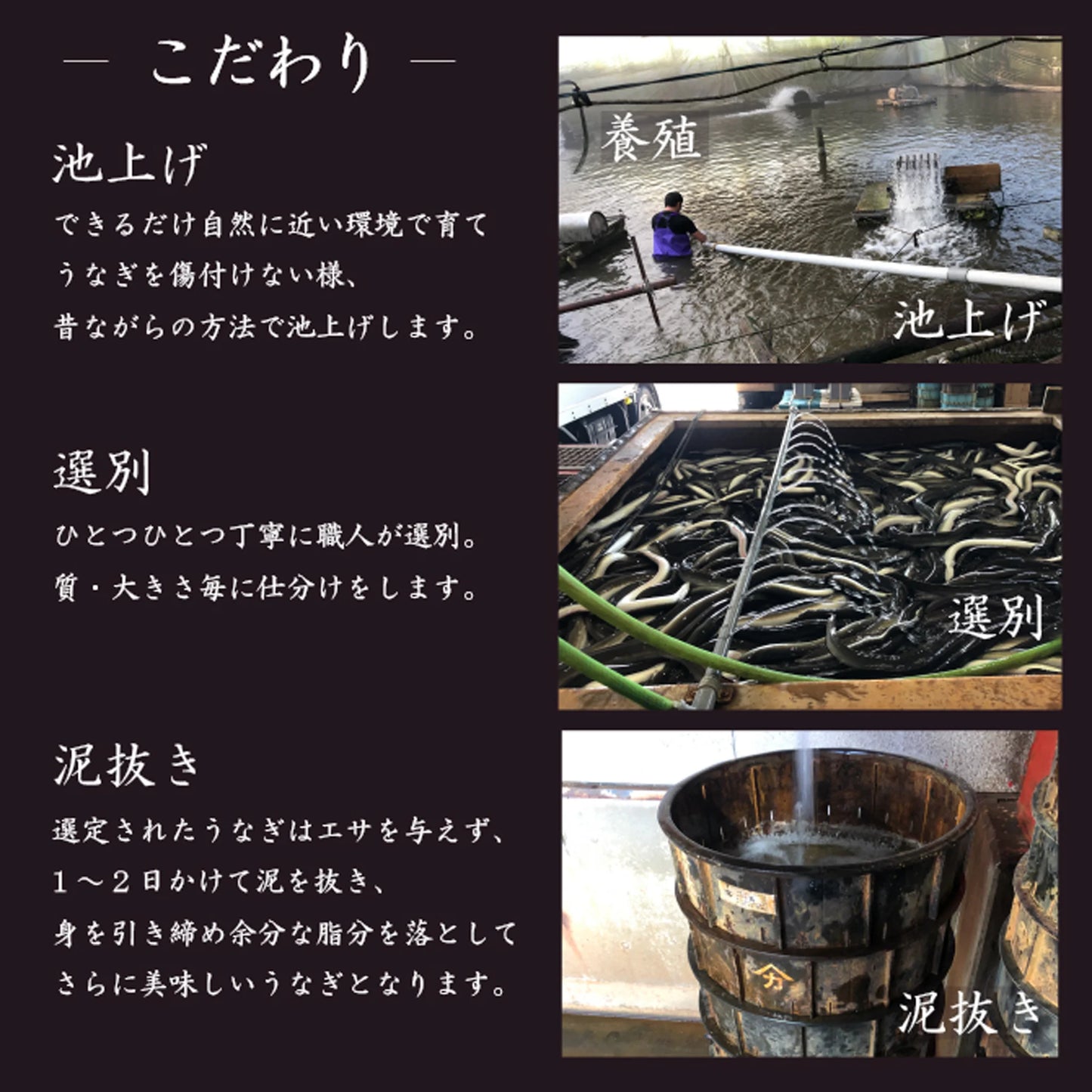 「うなとろセット」