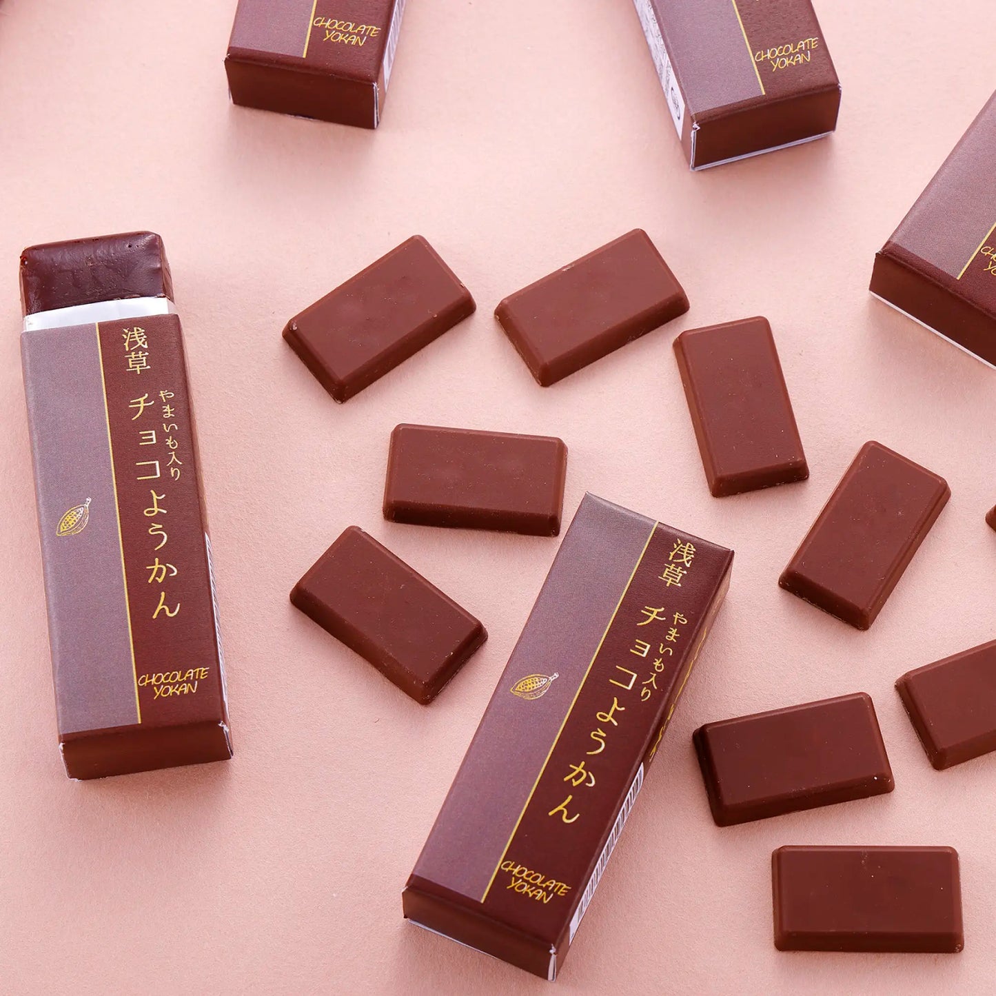 浅草むぎとろ「やまいも入りチョコようかん」文庫箱 チョコようかん10個入り