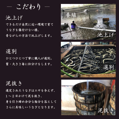 「うなとろセット」